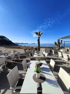 Momos Restaurant | Pizzeria, Lounge