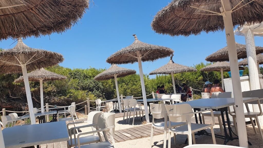 Natura beach -Balneario 7 – Playa De Muro