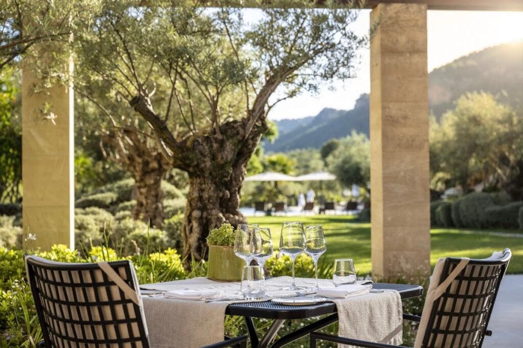 Restaurante Olivera