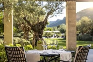 Restaurante Olivera